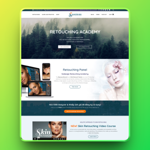 Theme wordpress cung cấp tài nguyên đồ họa