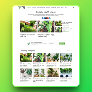 Theme wordpress tin tức 18