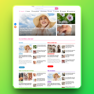 Theme wordpress review 01