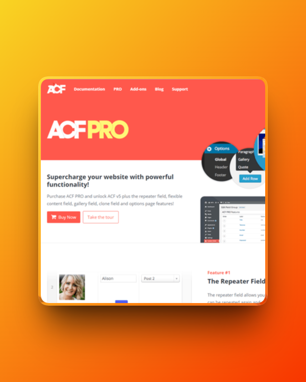 465_1x_shots_so Advanced Custom Fields (ACF) Pro
